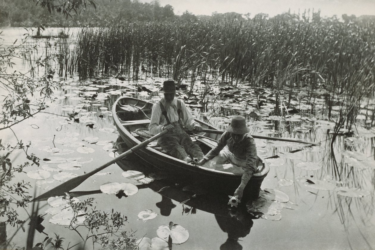 Uma das quarenta gravuras de platina de &39;Life and Landscape on the Norfolk Broads&39; de Peter Henry Emerson