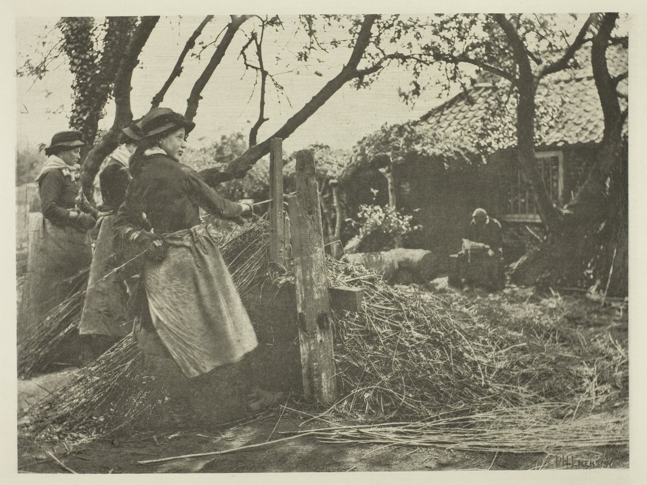 Descascamento de vime (Norfolk) de Peter Henry Emerson