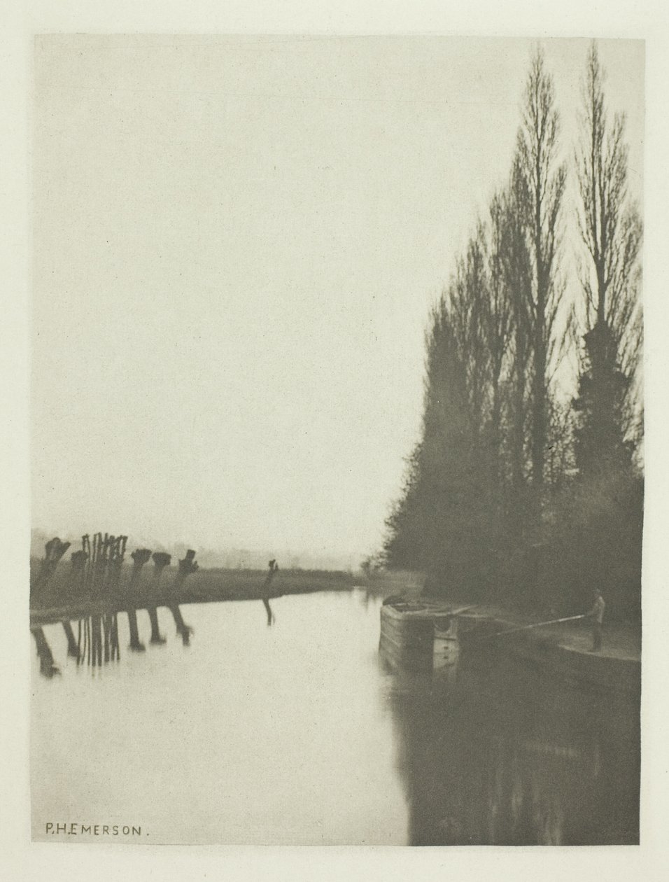 Choupos e choupos no Lea, perto de Broxbourne de Peter Henry Emerson
