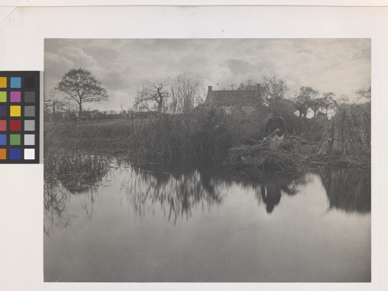 Quanting The Gladdon (impressão em platina no suporte original) de Peter Henry Emerson