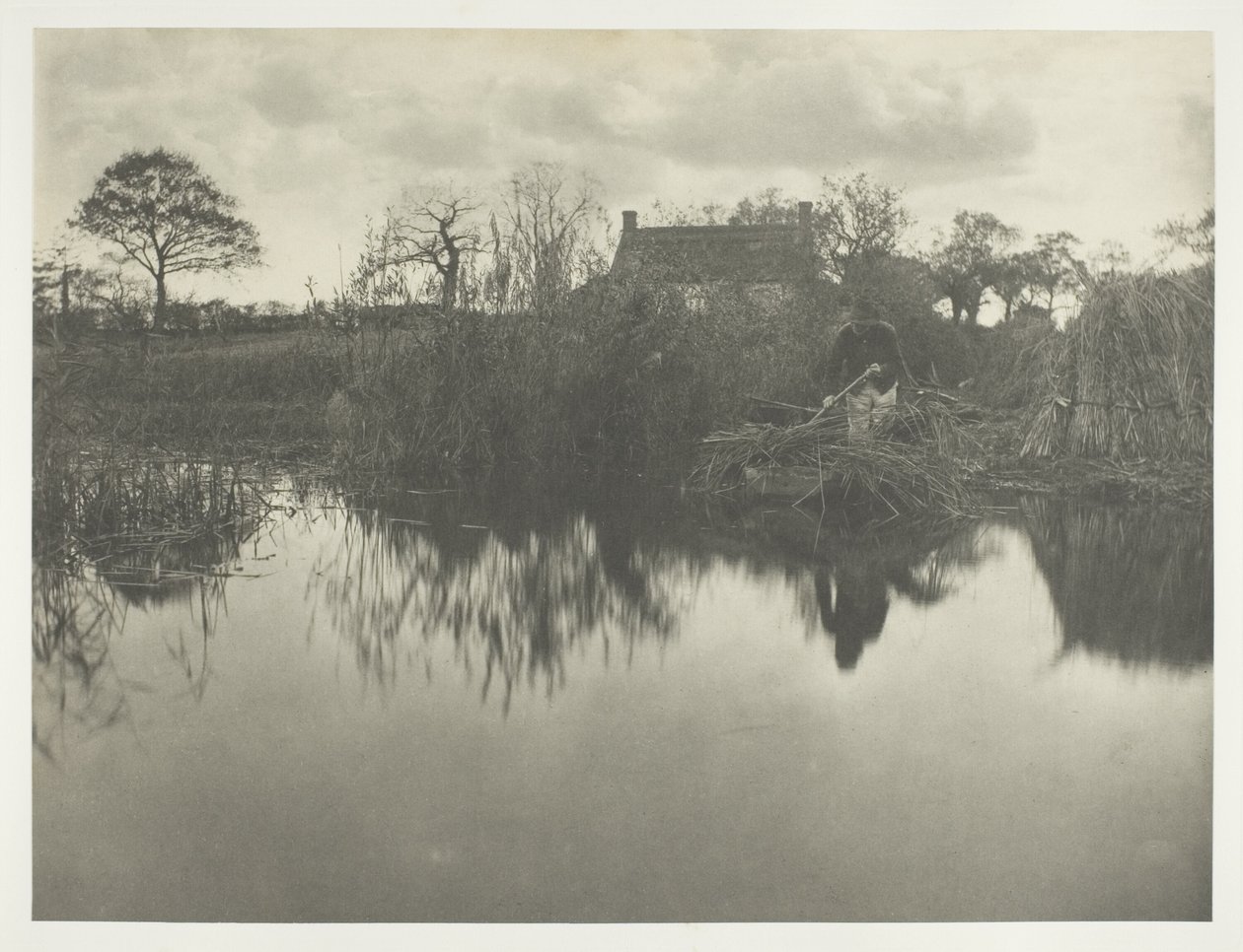 Quanting the Gladdon de Peter Henry Emerson