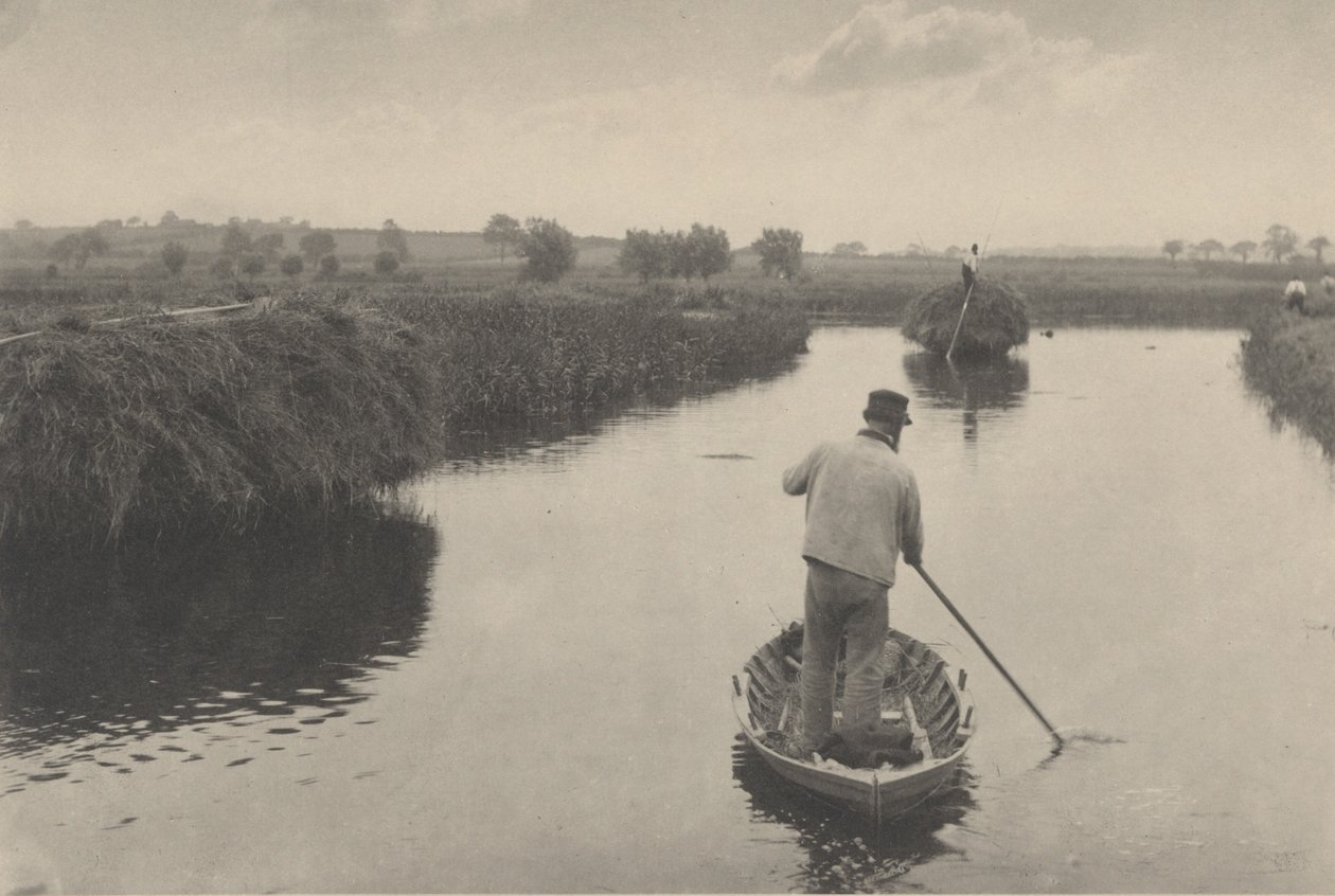 Quantificando o Feno do Pântano de Peter Henry Emerson