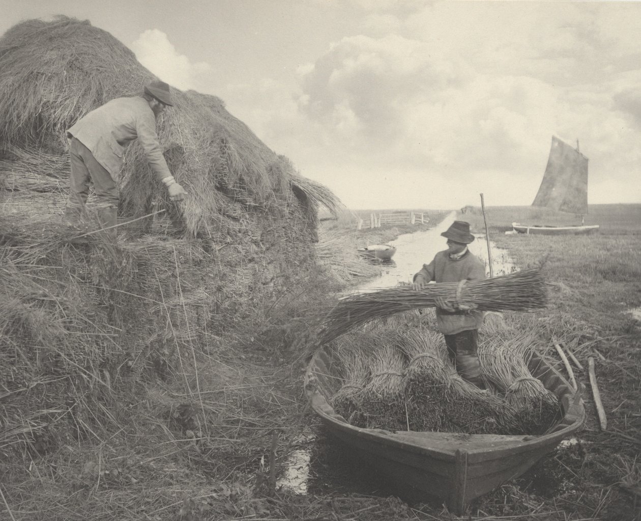 Ricking the Reed,1886 (foto) de Peter Henry Emerson