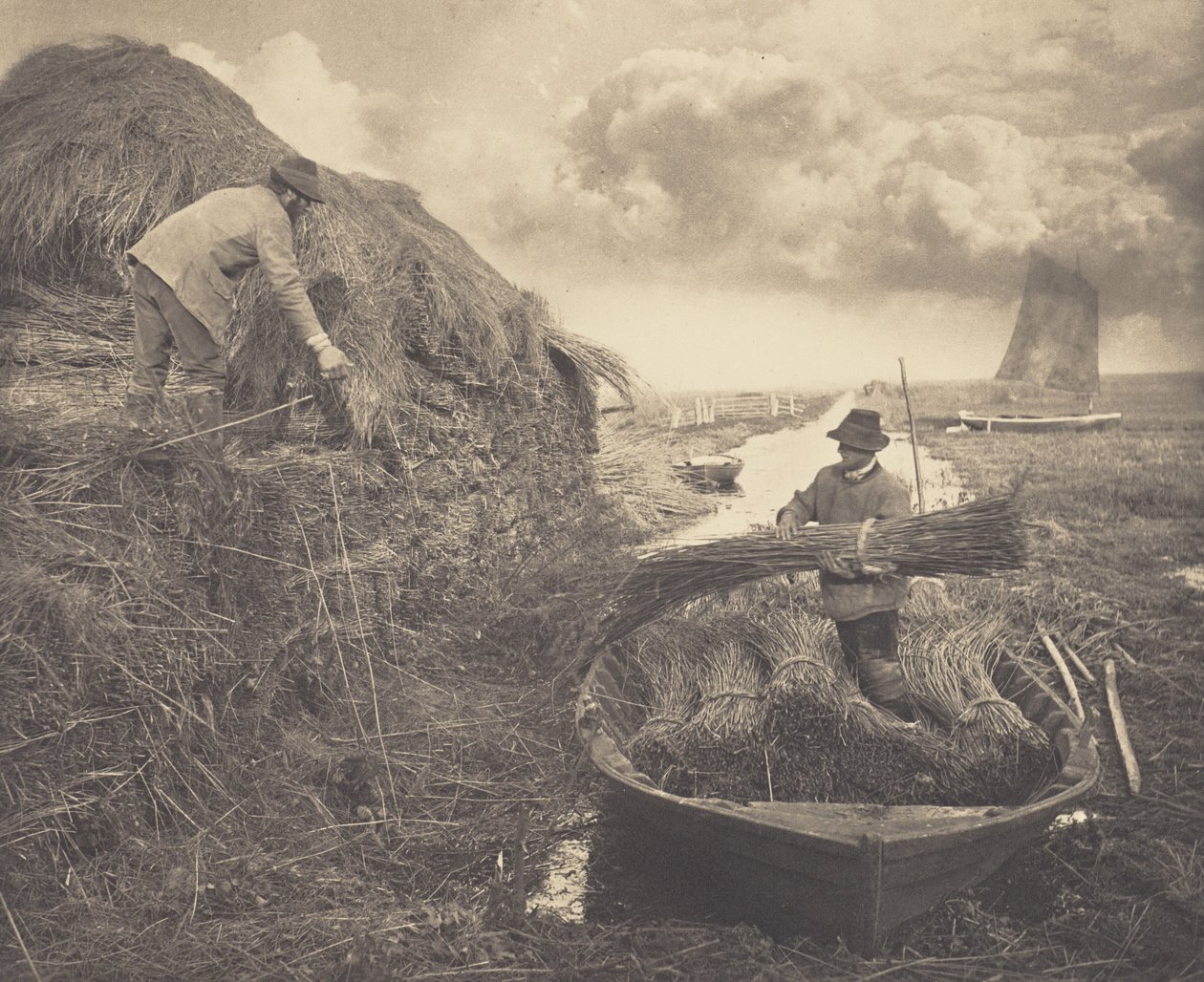 Empilhar canas de Peter Henry Emerson