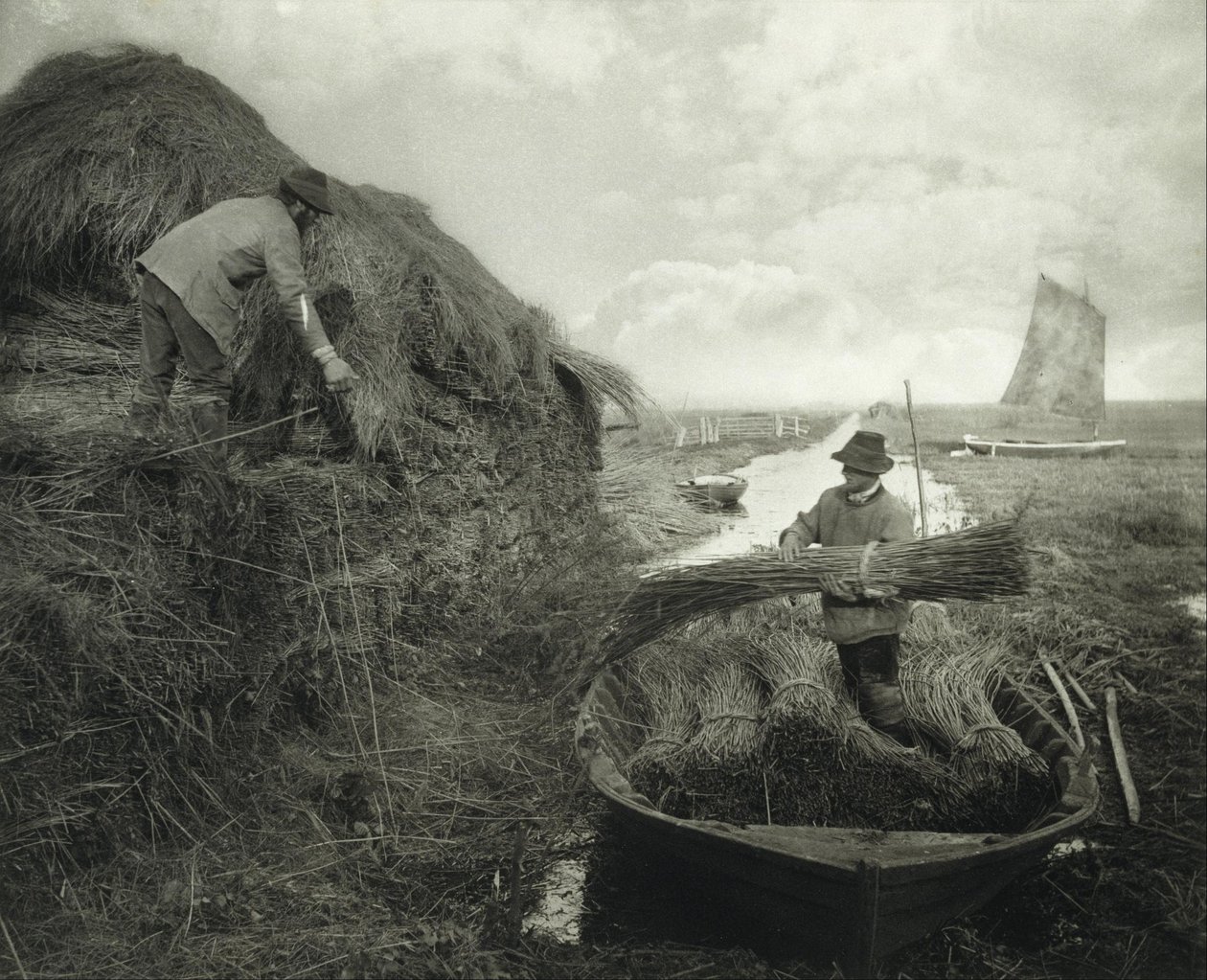Empilhamento de canas de Peter Henry Emerson