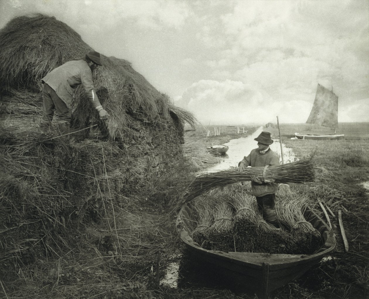 Ricking the Reed, c.1885 (impressão em platina) de Peter Henry Emerson
