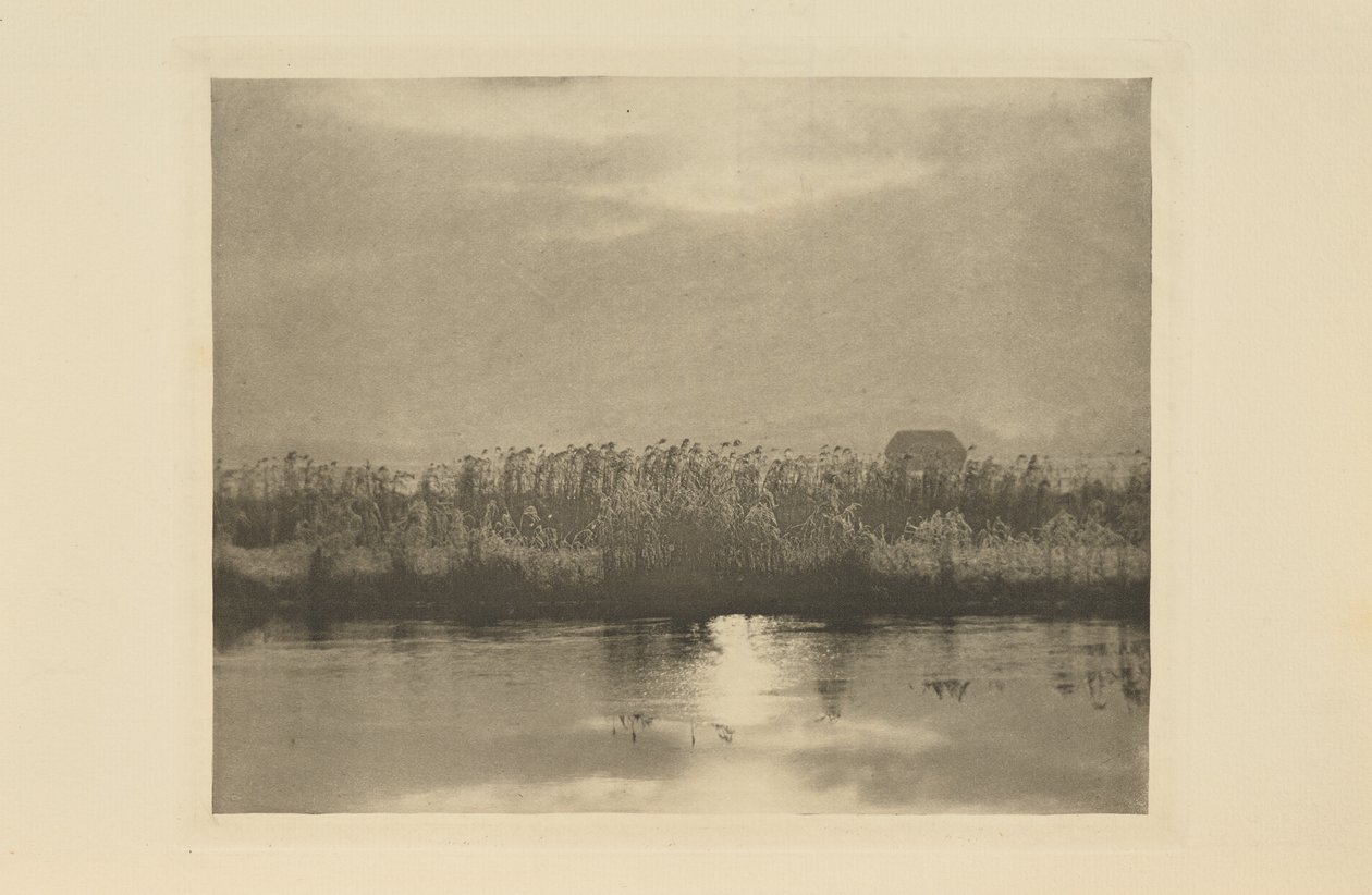 Cristais de geada de Peter Henry Emerson