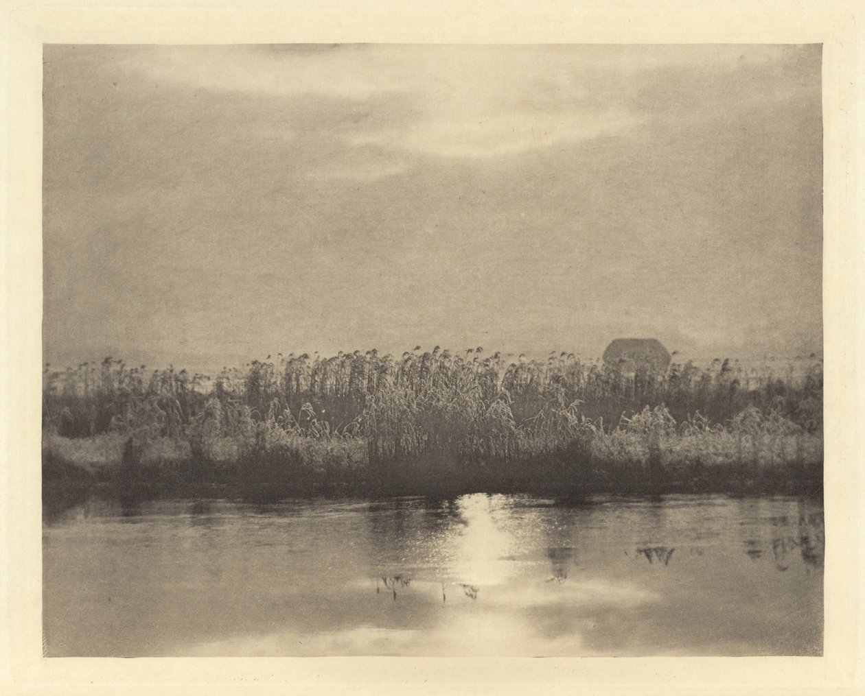 Cristais de cal, em ou antes de 1895 (foto) de Peter Henry Emerson