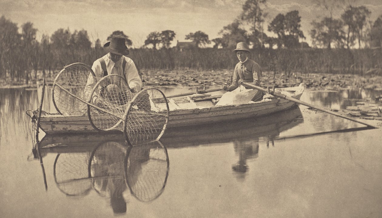 Montagem da rede de arco de Peter Henry Emerson