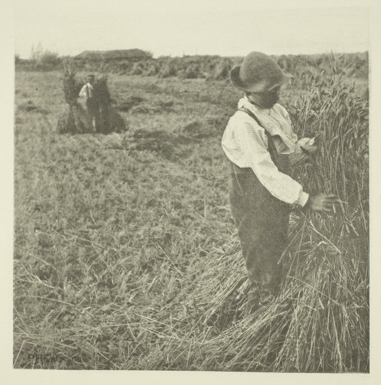 Milho Chocante (Norfolk) de Peter Henry Emerson