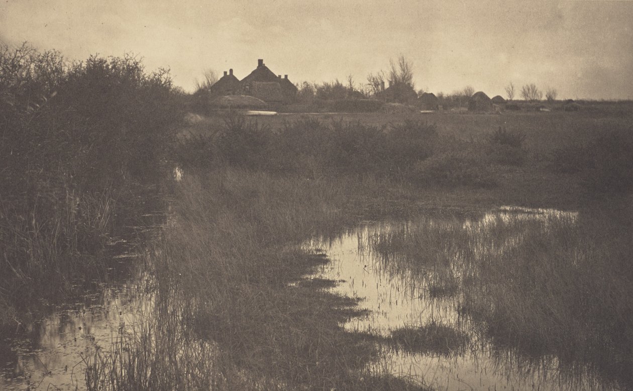 A orla do pântano de Peter Henry Emerson