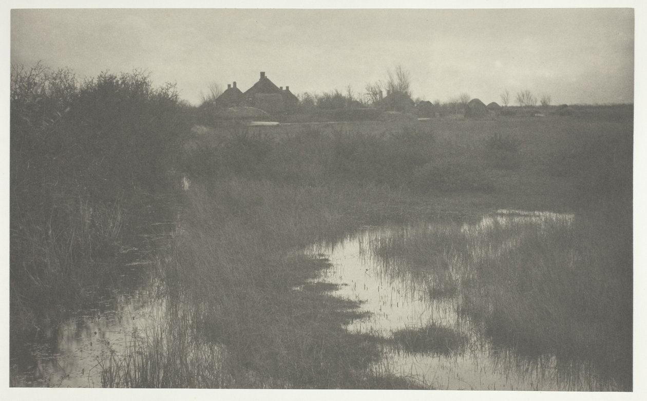 A orla do pântano de Peter Henry Emerson