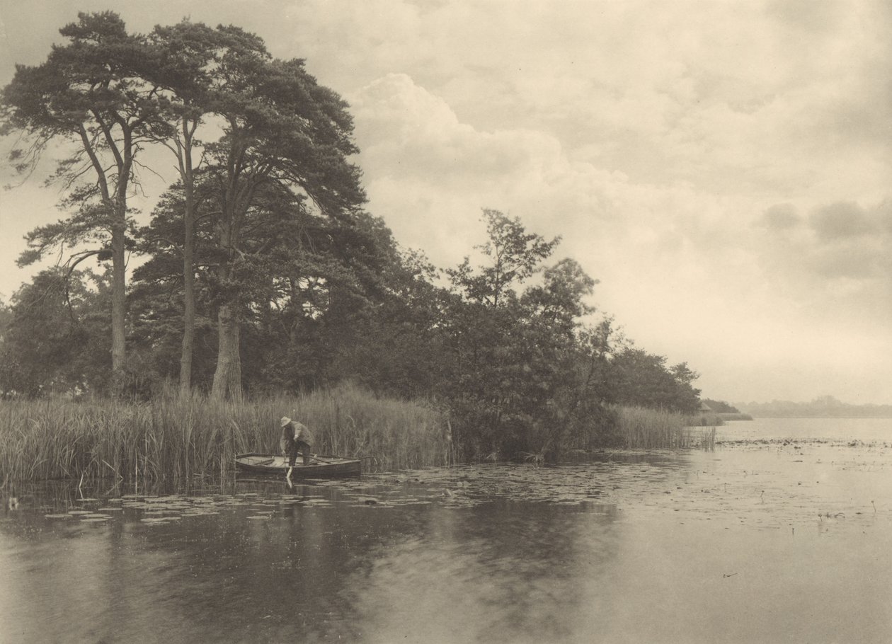 O refúgio do lúcio de Peter Henry Emerson