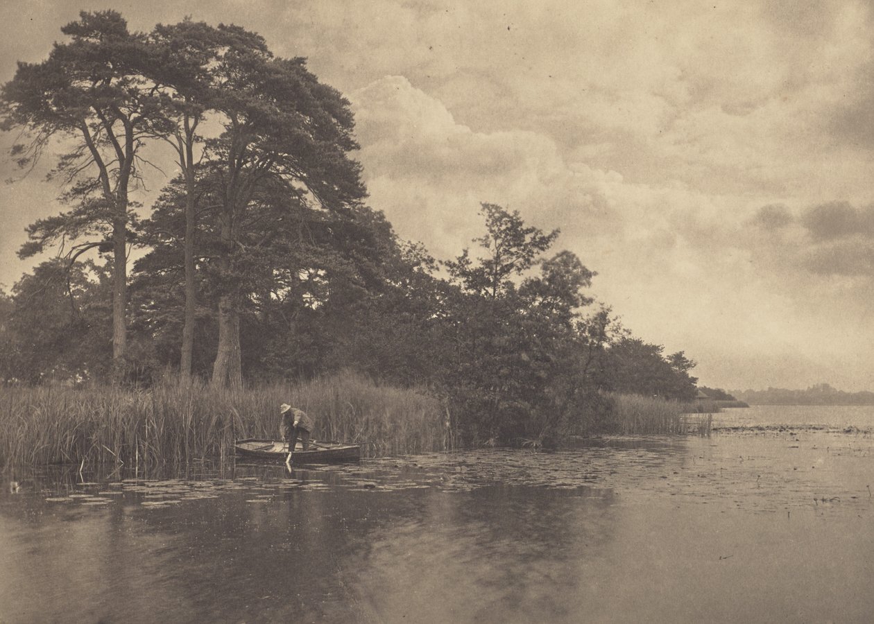 O refúgio do lúcio de Peter Henry Emerson