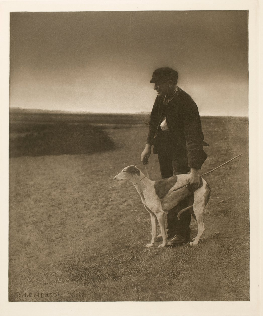 The Poacher - A Hare in View de Peter Henry Emerson