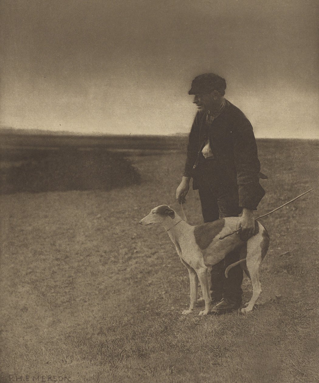 O caçador furtivo - Uma lebre à vista. [Suffolk.] de Peter Henry Emerson