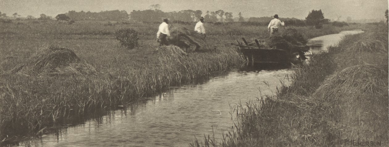A Colheita do Junco de Peter Henry Emerson