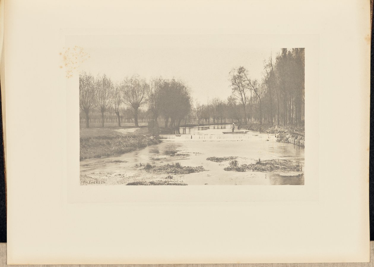 The Shoot, Amwell Magna Fishery de Peter Henry Emerson