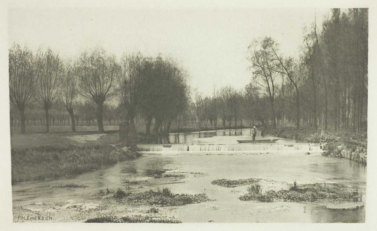 The Shoot, Amwell Magna Fishery de Peter Henry Emerson