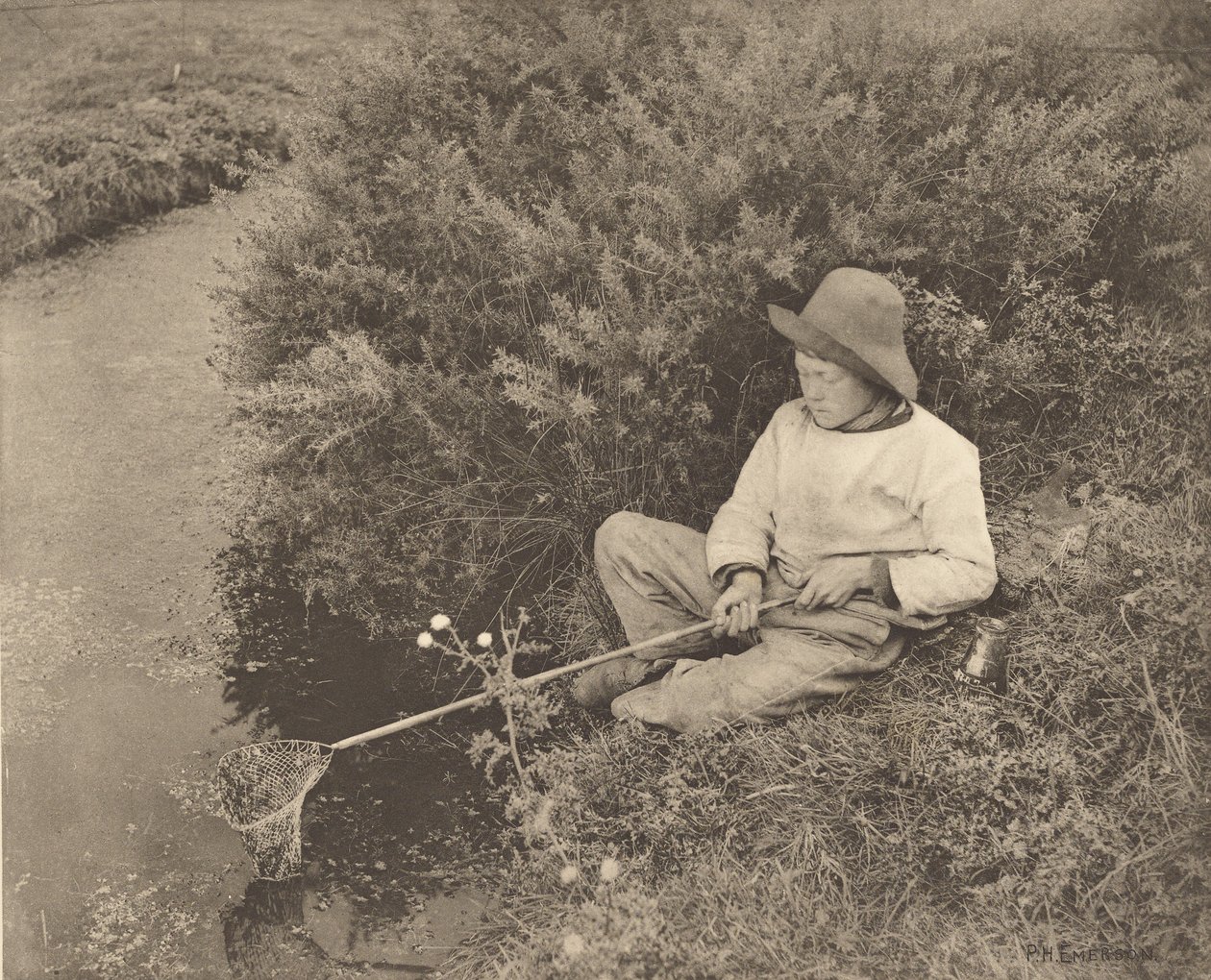 O Apanhador de carapau de Peter Henry Emerson
