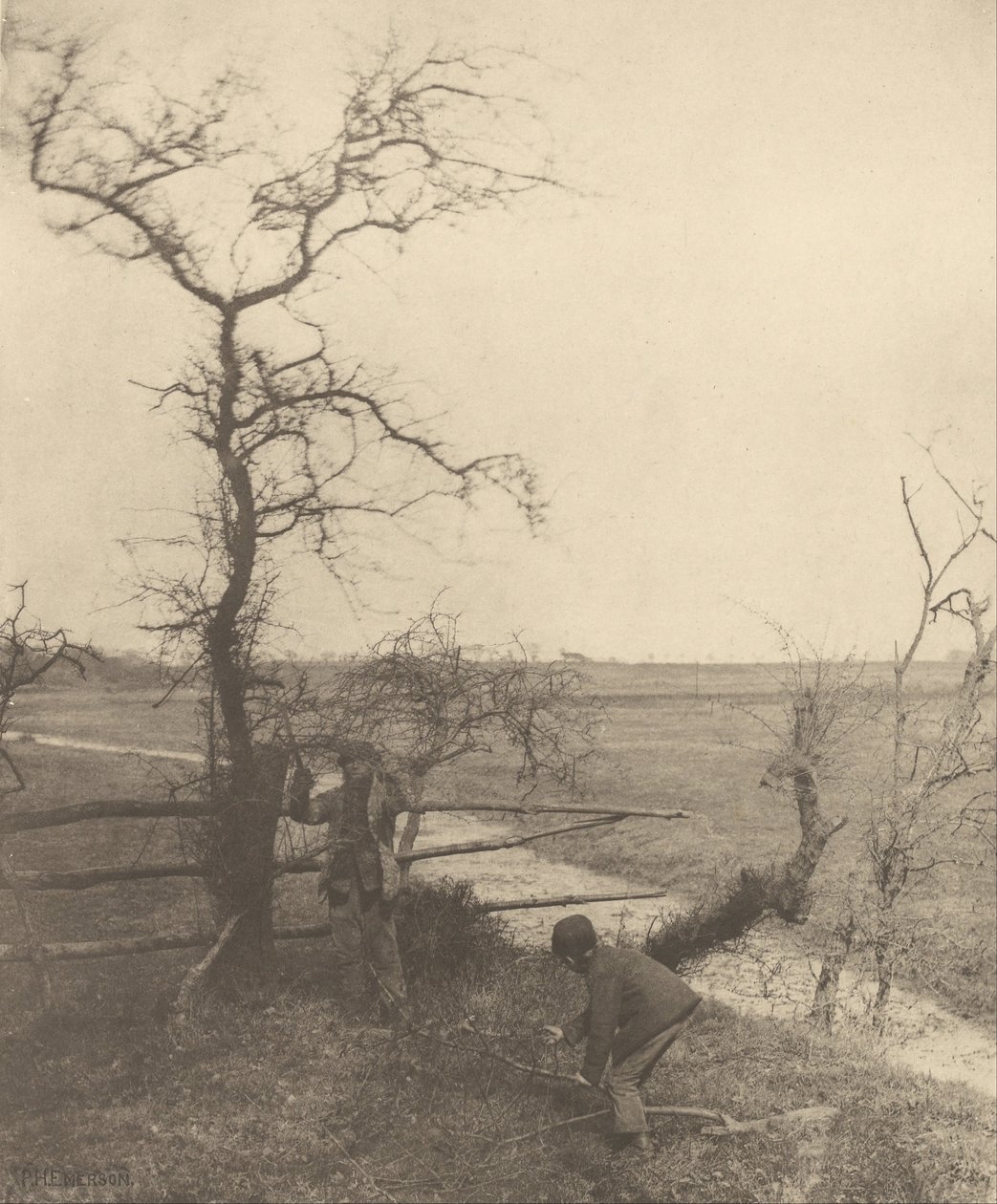Os cortadores de galhos de Peter Henry Emerson