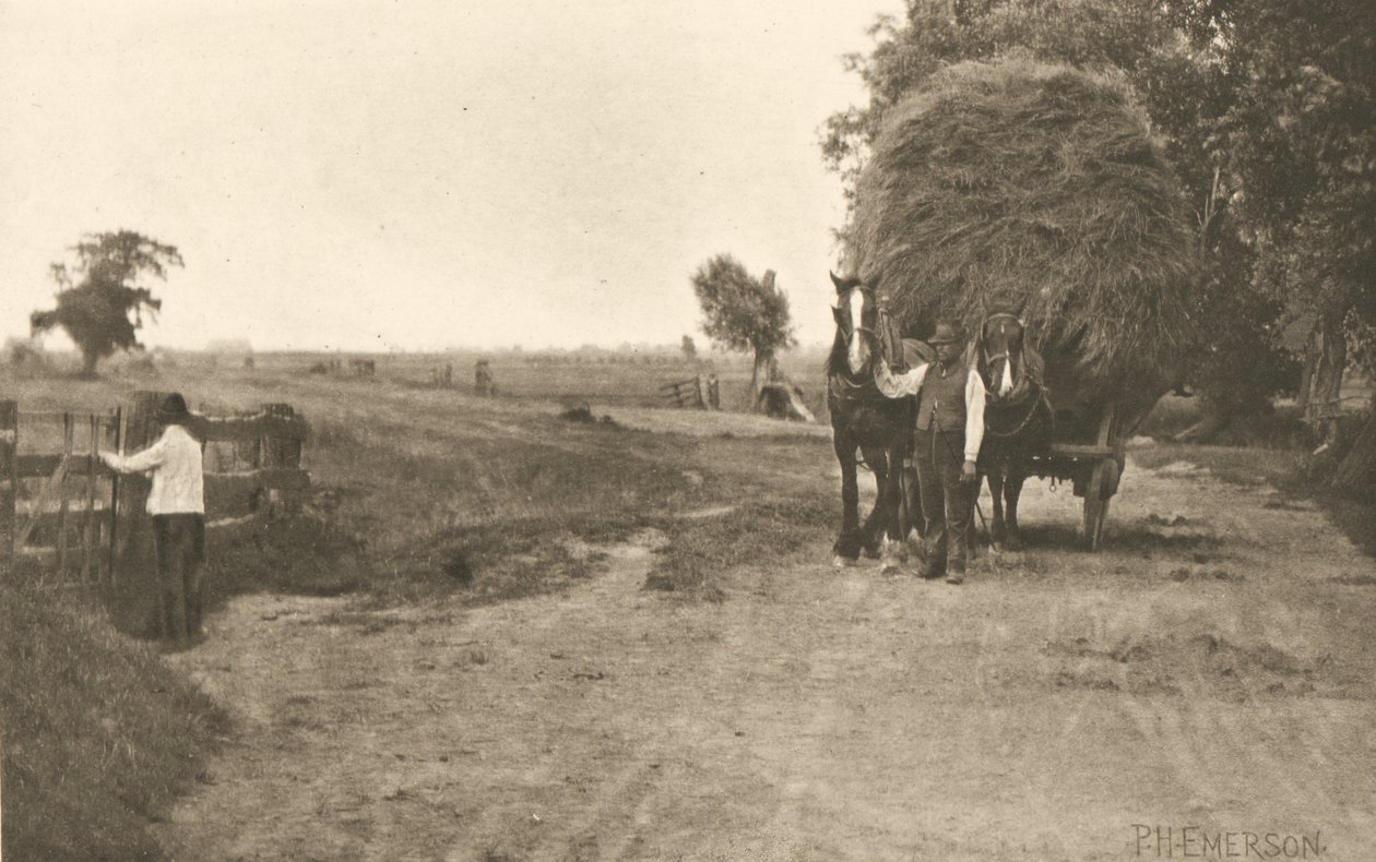 A riqueza dos pântanos de Peter Henry Emerson