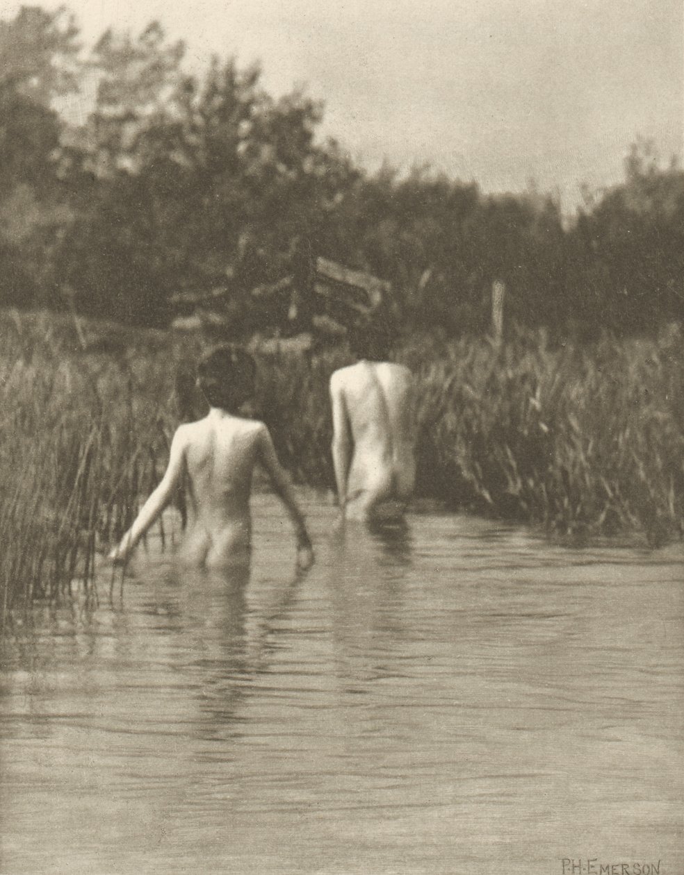 Bebés de água de Peter Henry Emerson