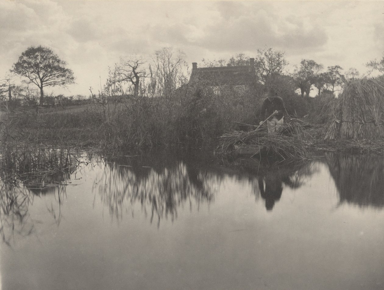 Quantificando o Gladdon de Peter Henry Emerson and T.F. Goodall