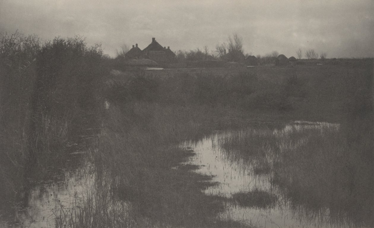 A orla do pântano de Peter Henry Emerson and T.F. Goodall