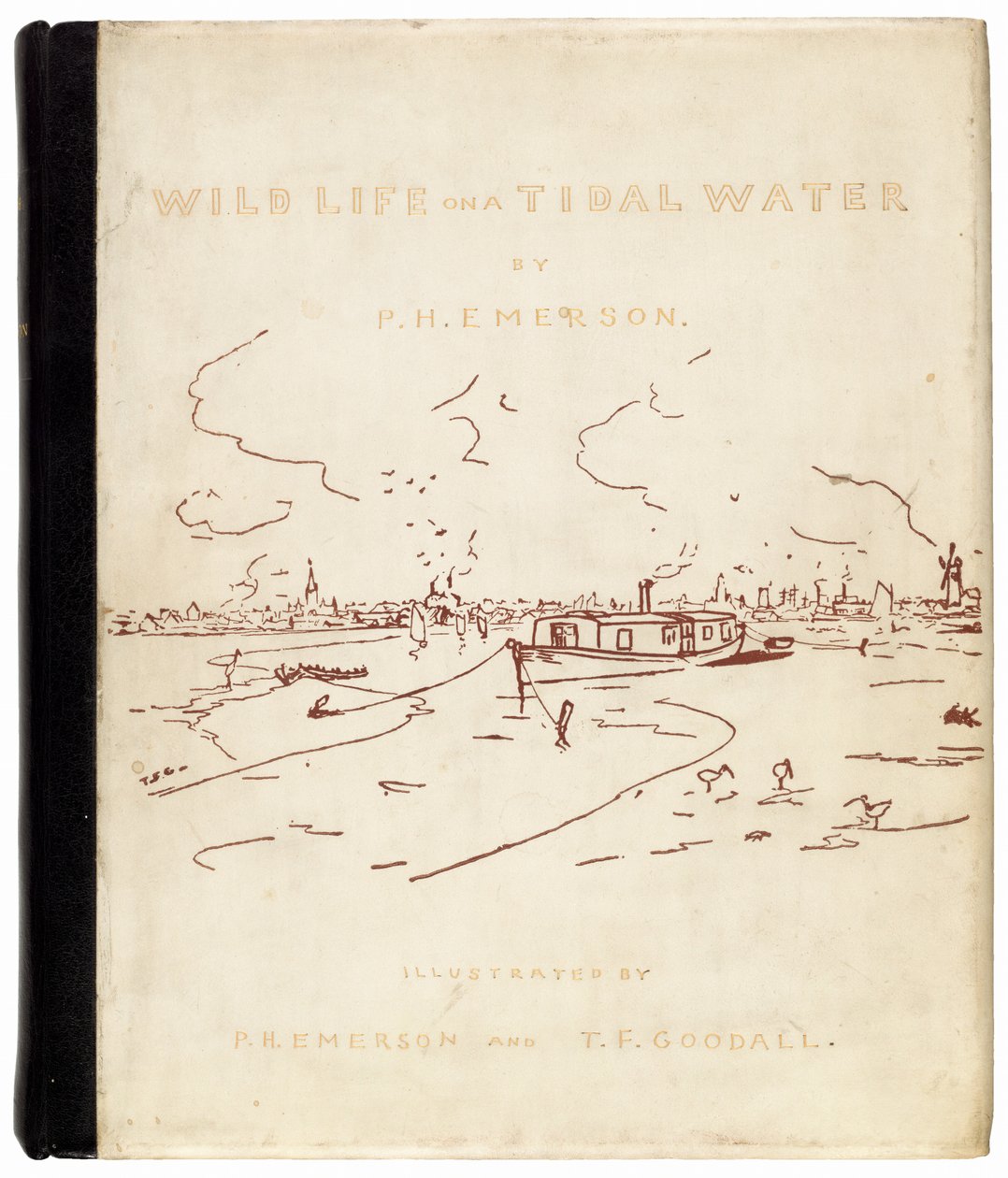 Vida selvagem em uma maré de Peter Henry Emerson, and T.F. Goodall