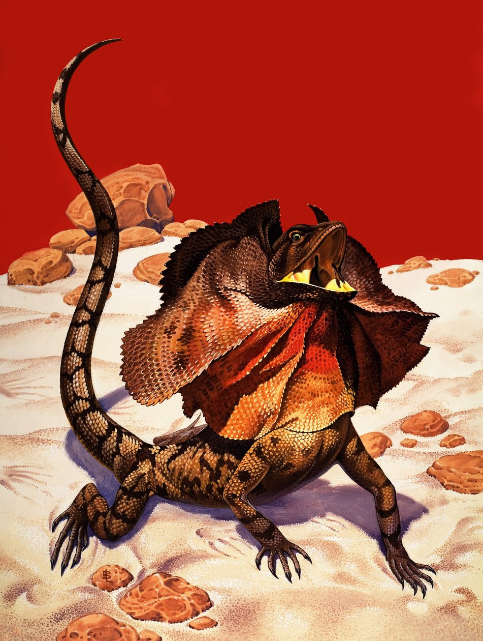 Lagarto com folhos (guache sobre papel) de Peter Jackson