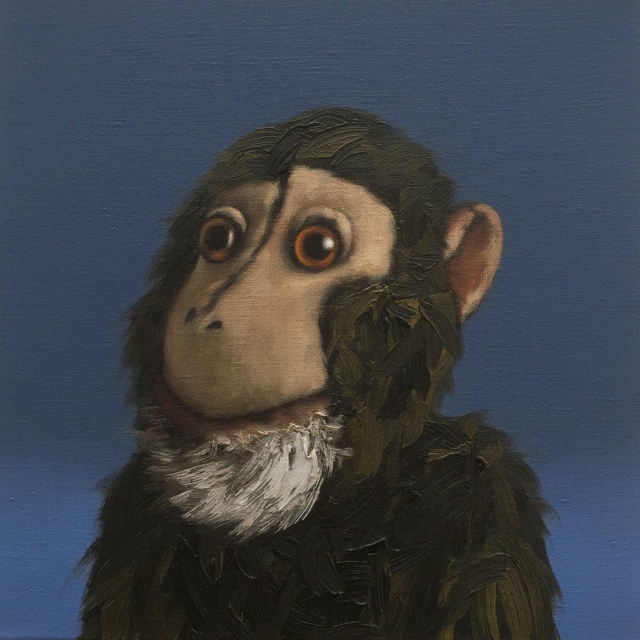 Andy Monkey, 2017 de Peter Jones