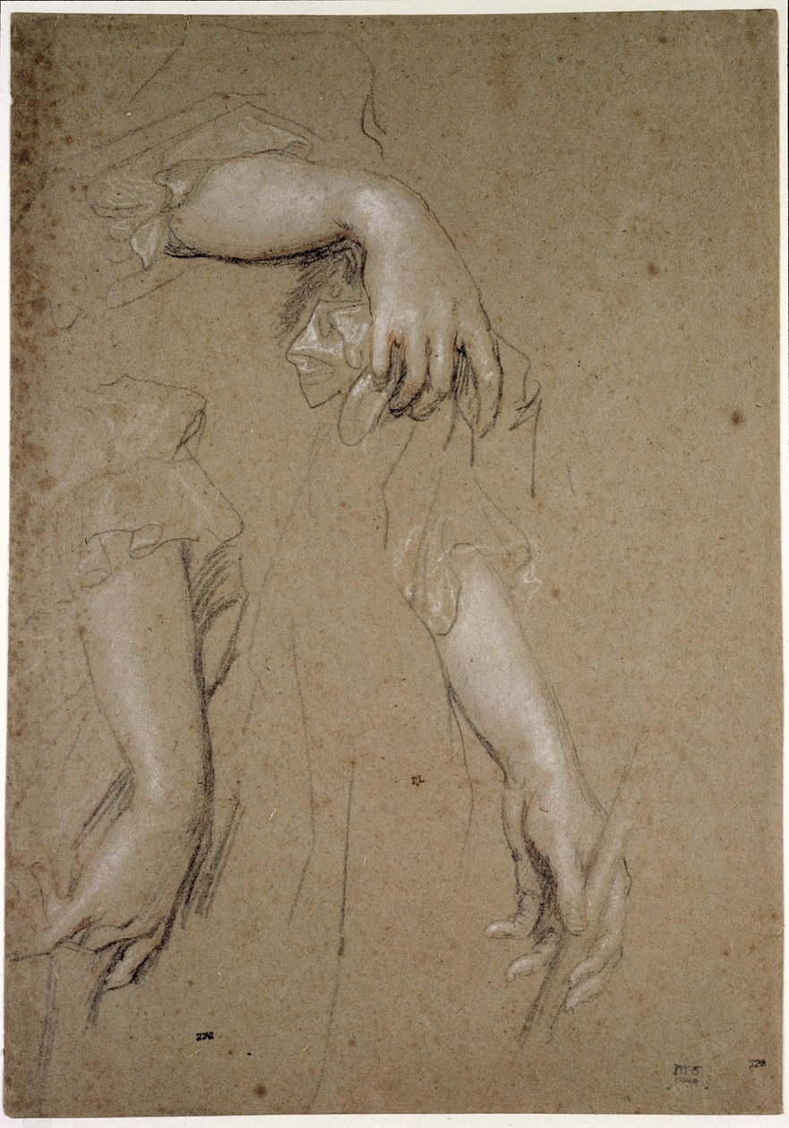 Estudos das Mãos, século XVII (giz sobre papel) de Peter Lely