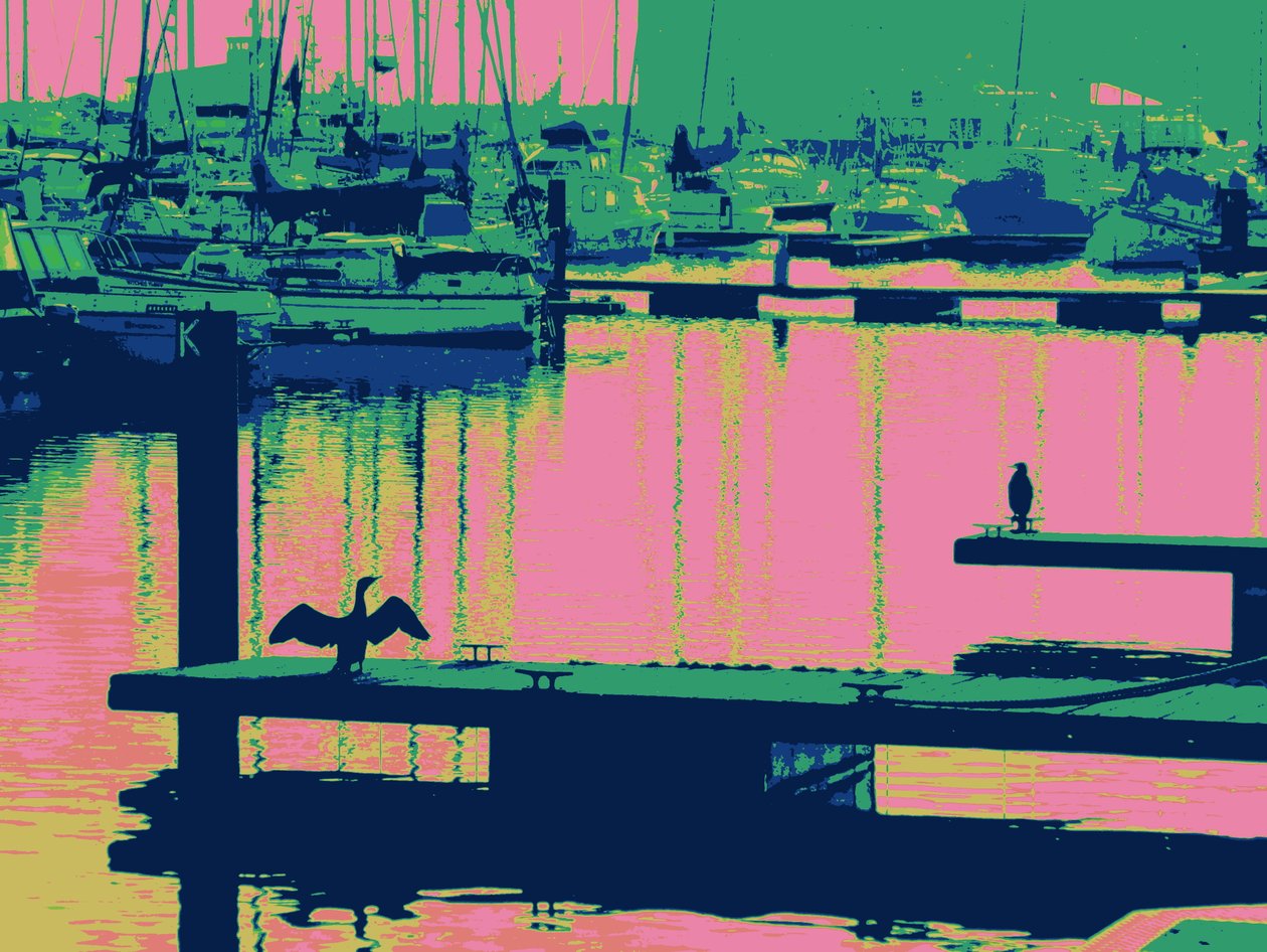 COURT-SHIP HARTLEPOOL, 2014, (foto digitalmente melhorada) de Peter McClure