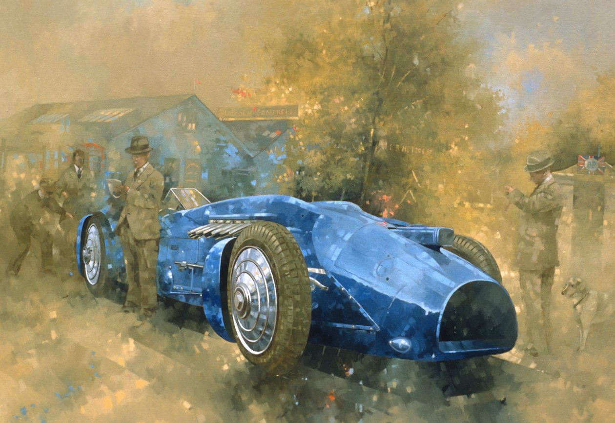 Bluebird at Brooklands (óleo sobre tela) de Peter Miller