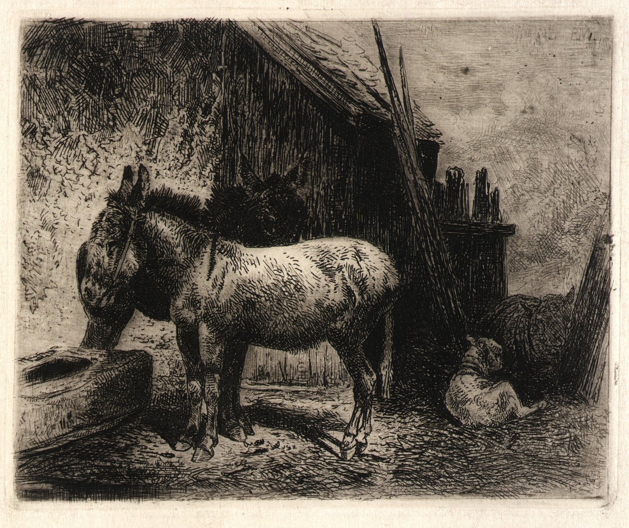 (Burros e Ovelhas) de Peter Moran