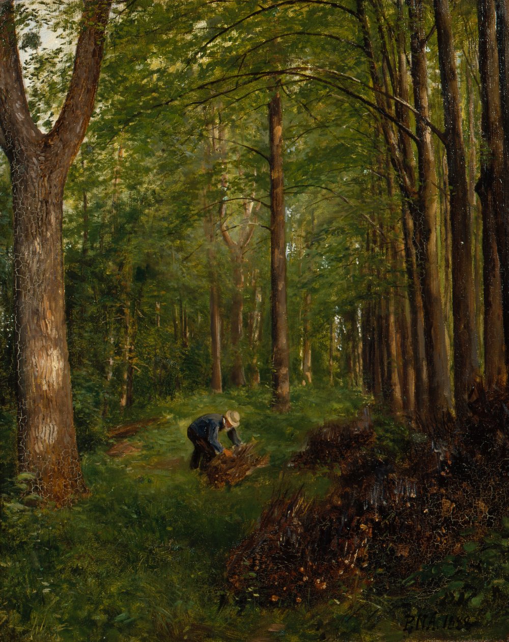 Álamo velho, seção do jardim Gulskov de Peter Nicolai Arbo