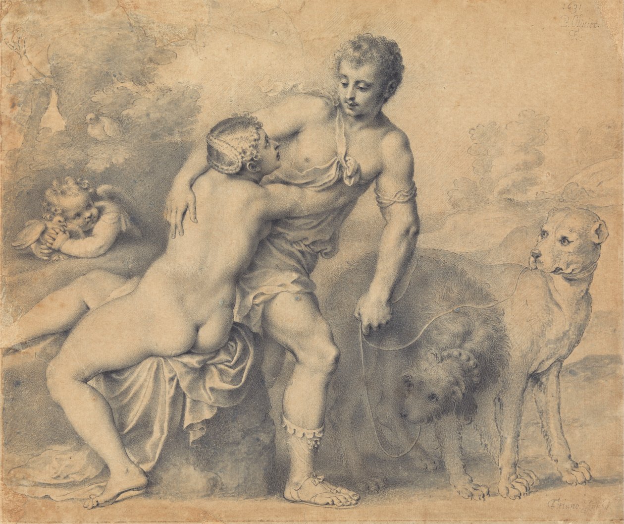 Vénus e Adónis de Peter Oliver