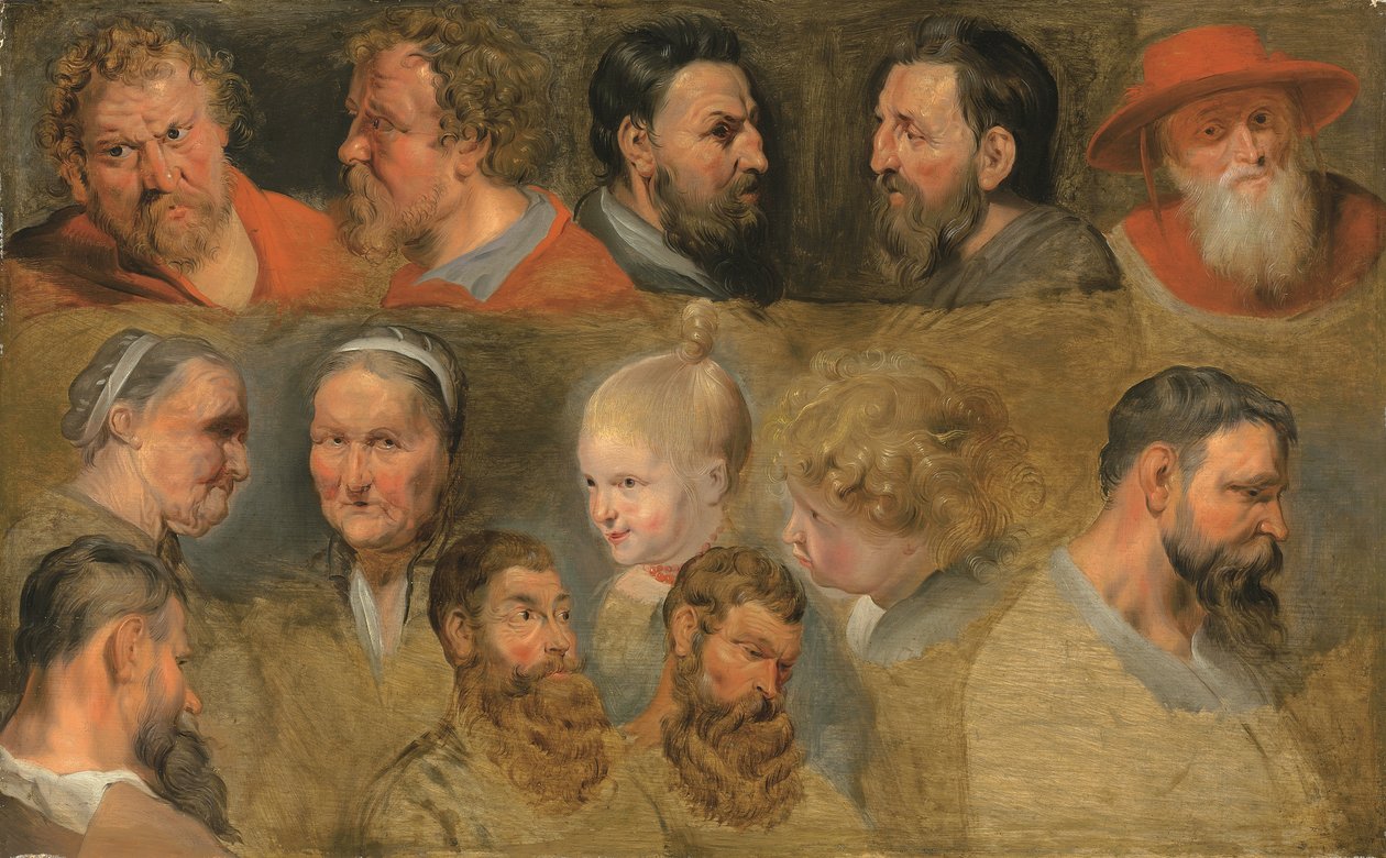 Estudos de cabeça (óleo sobre painel) de Peter Paul (circle of) Rubens