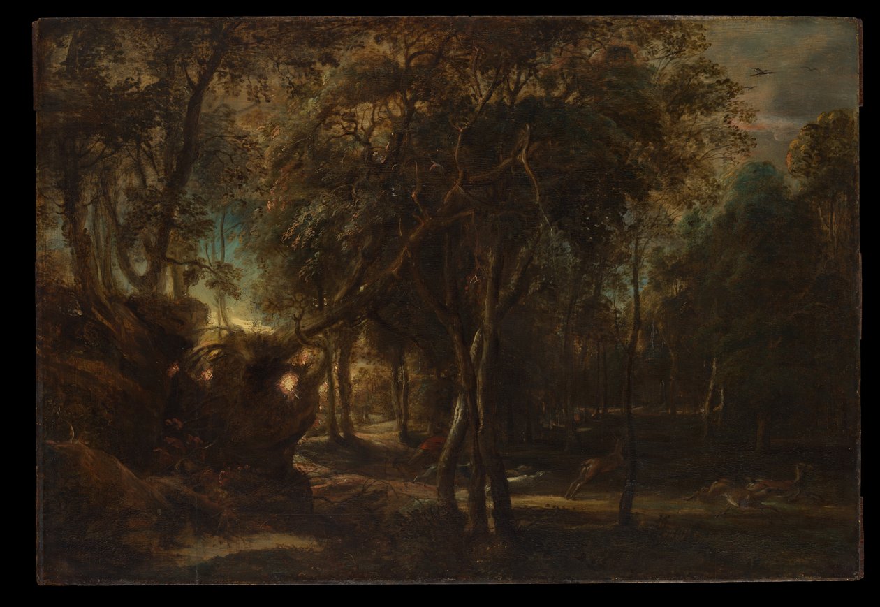Uma floresta ao amanhecer com uma caçada ao veado de Peter Paul Rubens