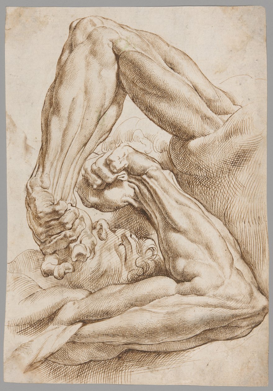 Uma folha de estudos anatômicos de Peter Paul Rubens