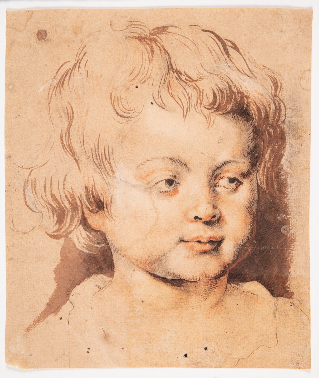 Cabeça de criança de Peter Paul Rubens