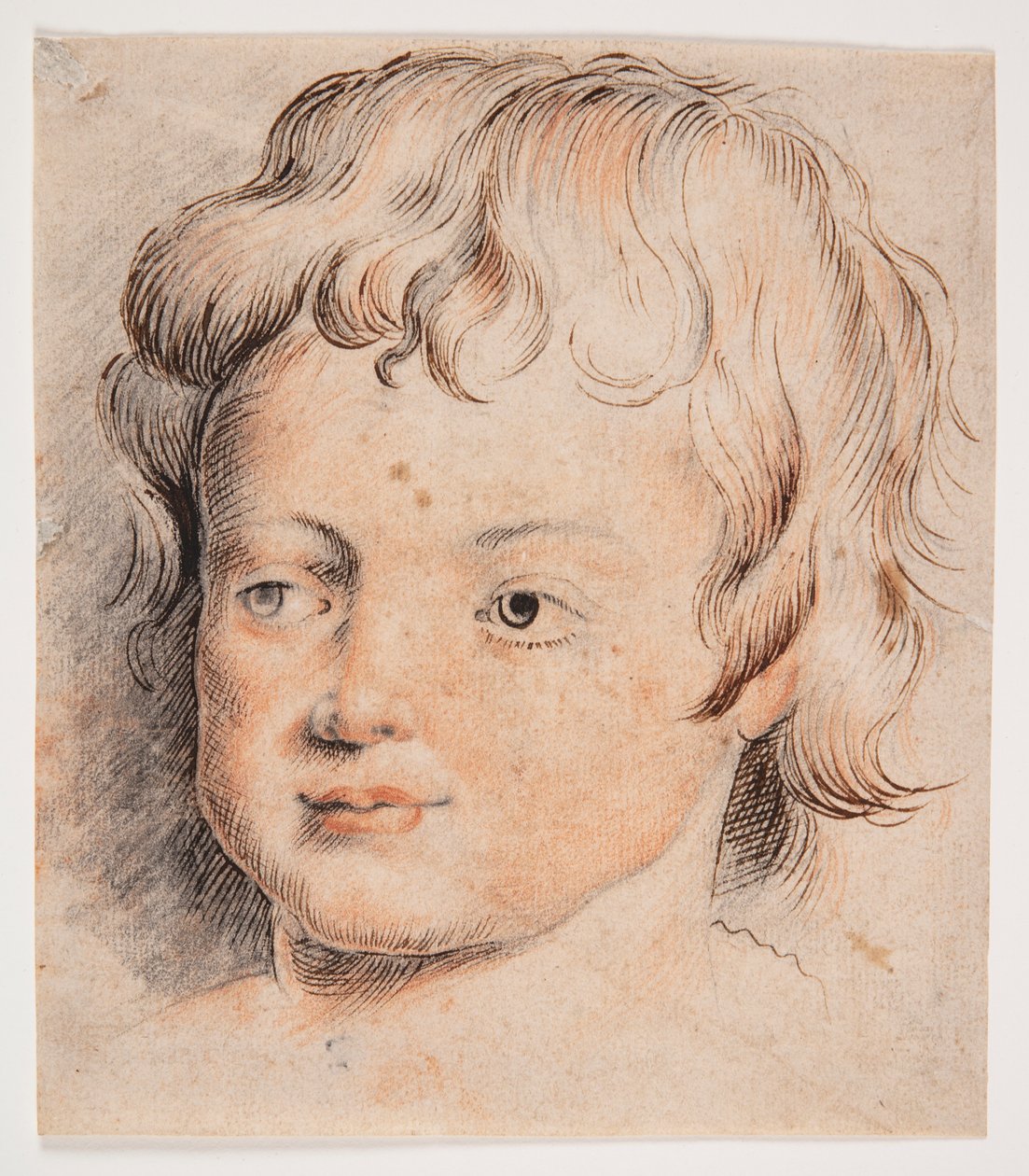 Cabeça de criança de Peter Paul Rubens