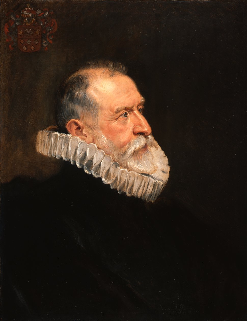 Retrato de um homem idoso de Peter Paul Rubens