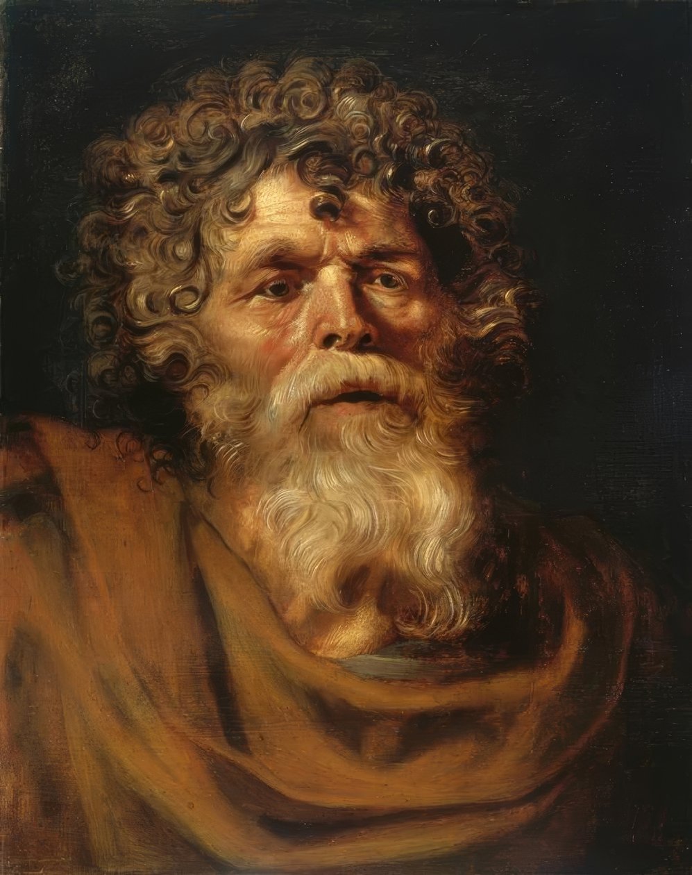 Retrato de um velho barbudo de Peter Paul Rubens