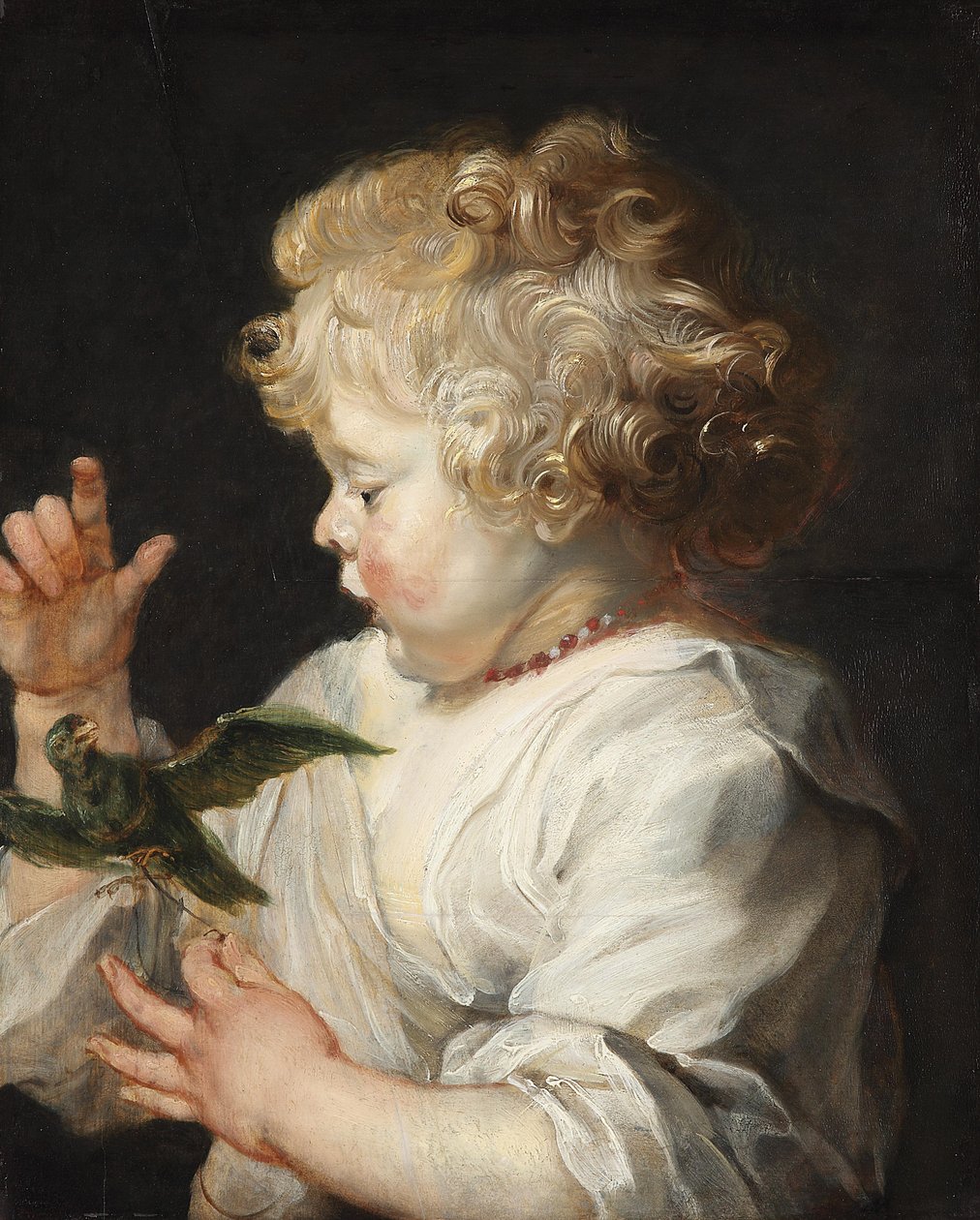 A criança com o pássaro de Peter Paul Rubens