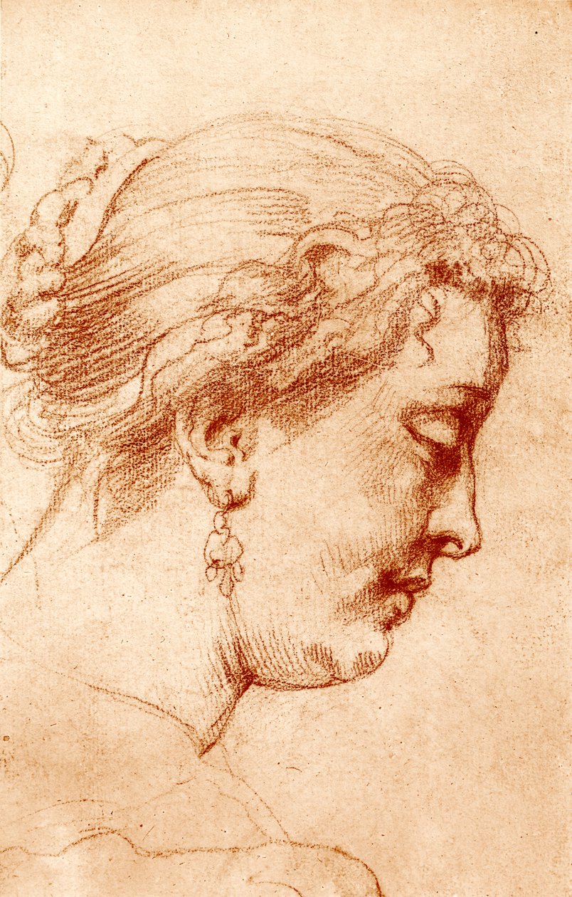 Cabeça de perfil feminino de Peter Paul Rubens