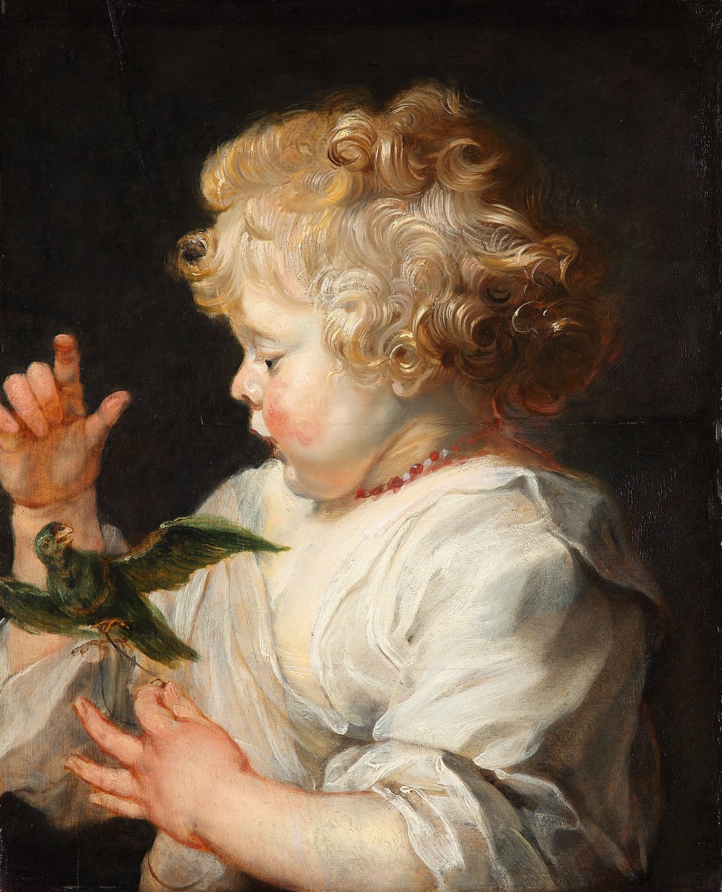 Alemão: Retrato de uma criança com um pássaro Uma criança com um pássaro de Peter Paul Rubens