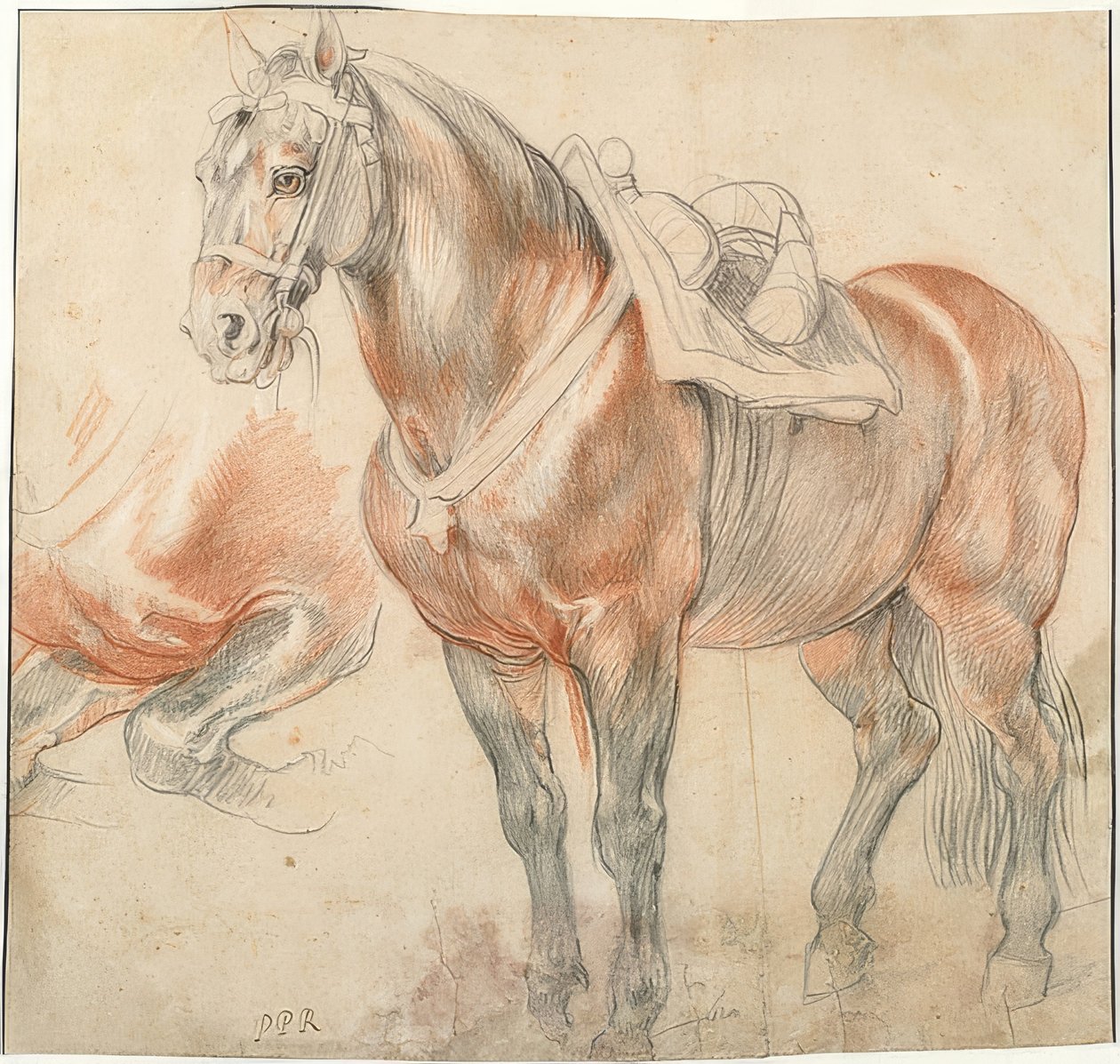 Cavalo selado. Por volta de 1615-18 de Peter Paul Rubens