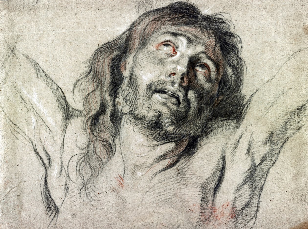 Cabeça de Cristo na cruz por Peter Paul Rubens (desenho) de Peter Paul Rubens
